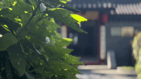 左右滑动查看更多 > > >第一站:吴印咸故居中国酒都,水润之城"的独特