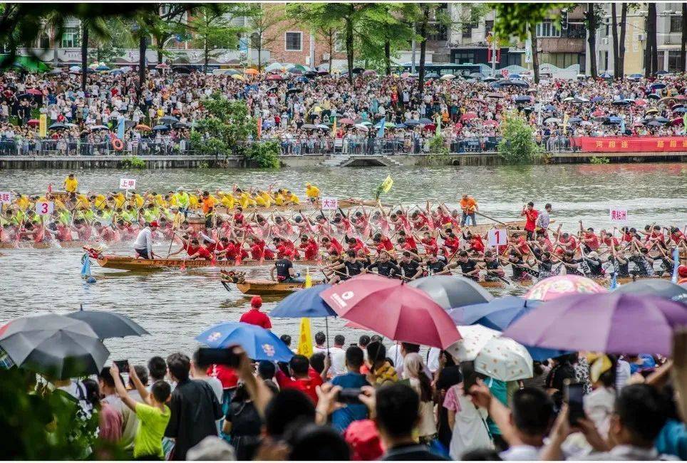 东莞万江进入"龙舟季"!"家门口"的文旅大戏将陆续上演