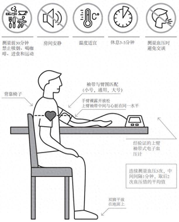 腘动脉测血压位置图片图片