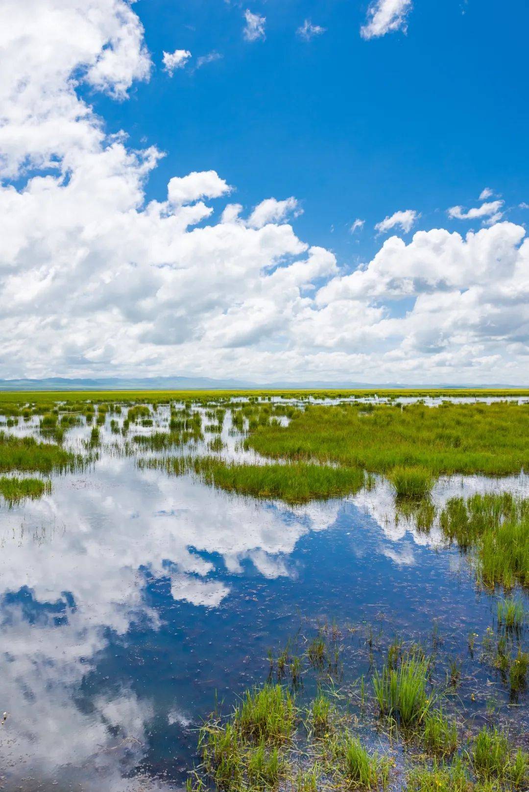 担心海拔高?不想人挤人?这个宝藏旅行地你可别错过!
