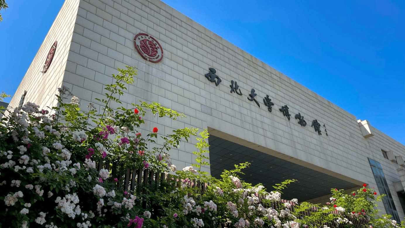 西北大学博物馆省份:陕西简介:西北大学博物馆是一所依托学校优势学科