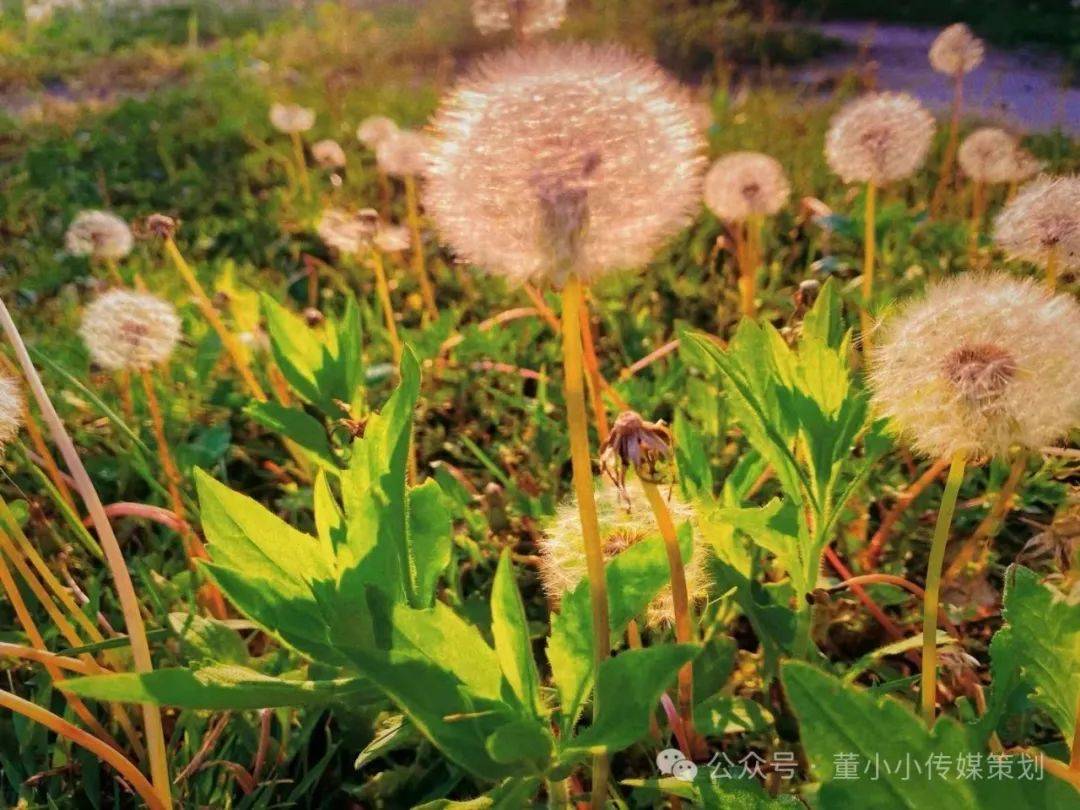 相信自己,你能作茧自缚,就能破茧成蝶