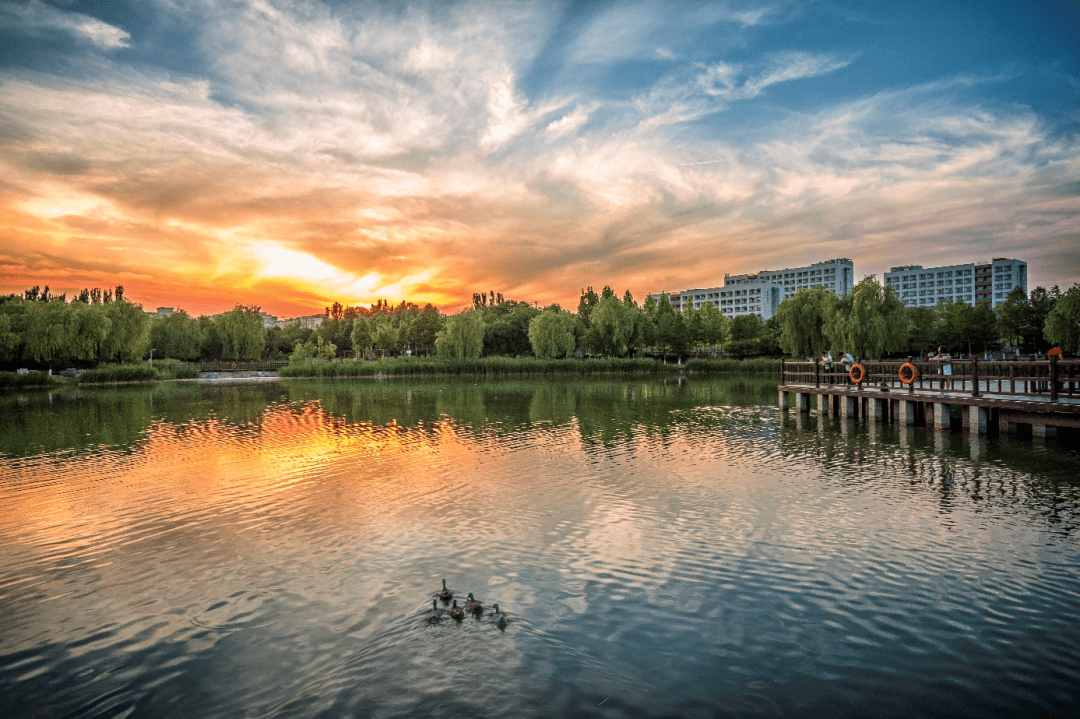 北京邮电大学_邮电大学北京邮电大学_邮电大学北京录取分数线