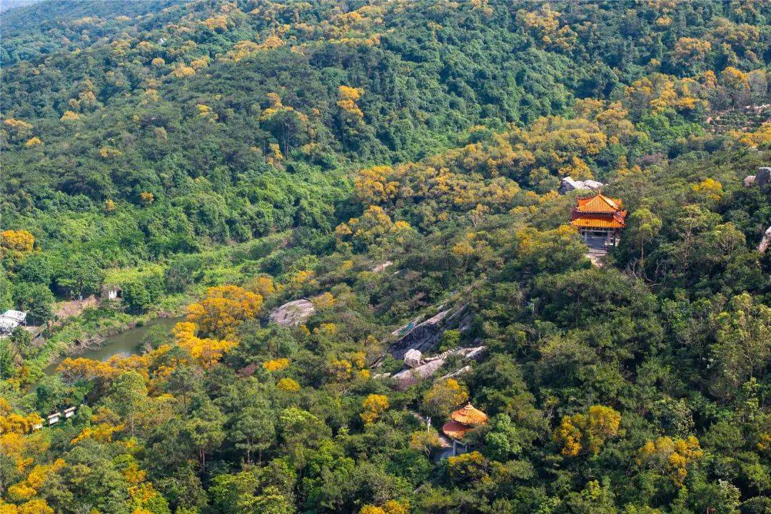 南澳岛黄花山森林公园图片