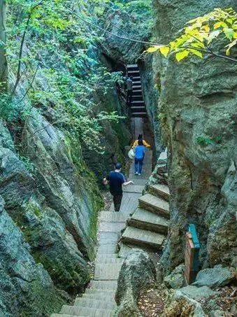 狼巷迷谷附近的凤阳山地质博物馆占地1792平方米,布展面积4300平方米