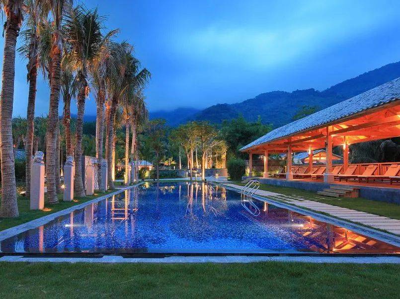 "清凉雨林 惠玩保亭"旅游消费券即将上线,这个夏天,与保亭热带雨林