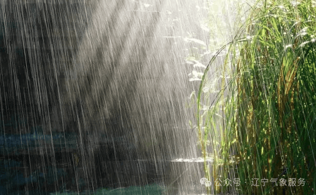 小雨气象图片图片