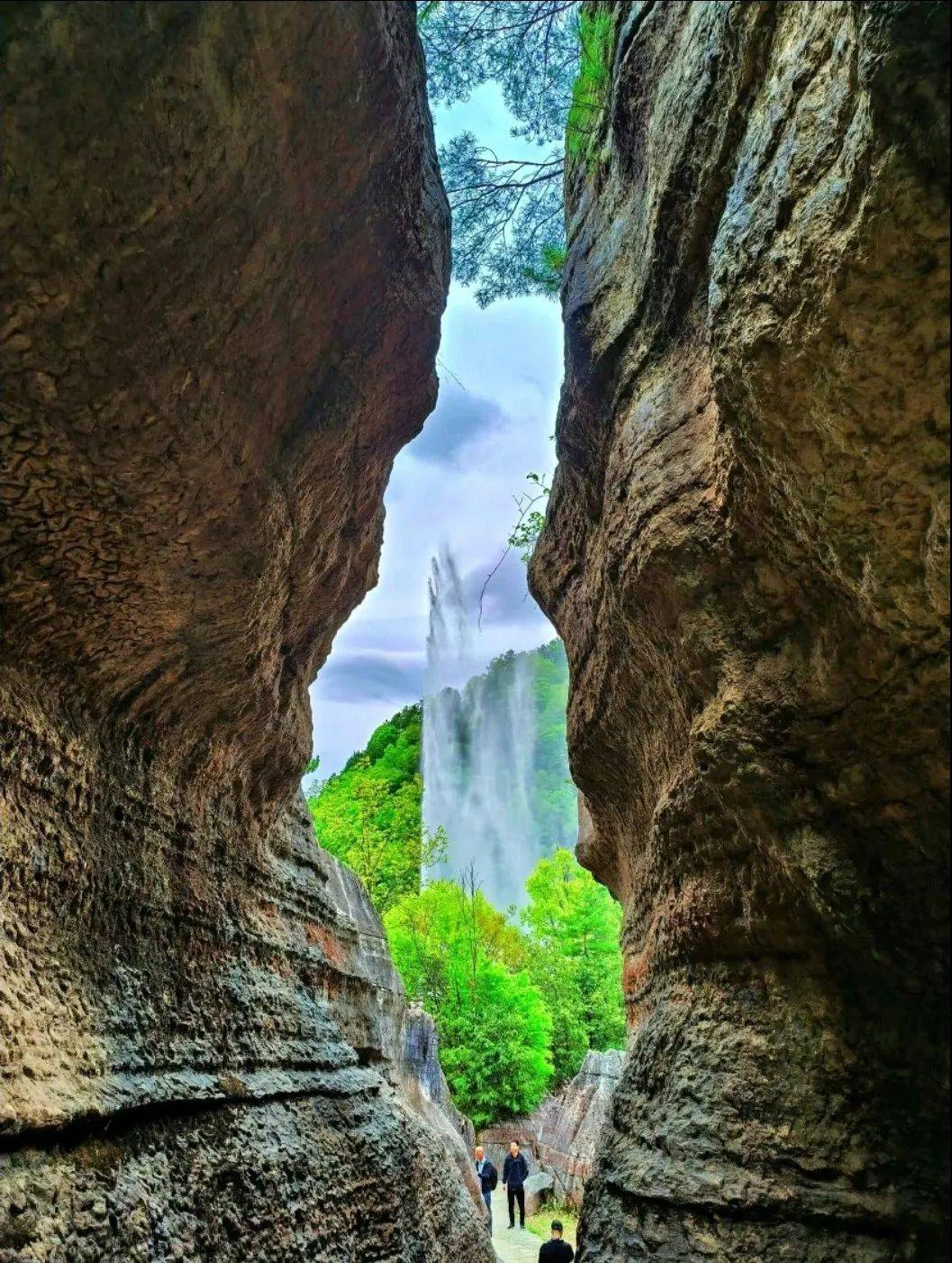 汉中一热门景区官宣!_黎坪_旅游_咨询电话