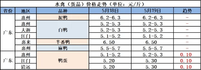 【明天鹅价】5月20日(鹅价有变!未来两天:5月21