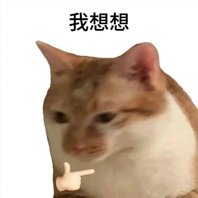 白底小猫表情包