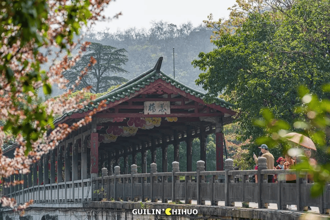 一眼千年,聆听这些「文物」背后的故事