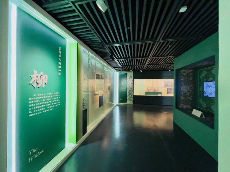 国际博物馆日 | "草木语:中古图像中的植物世界"展亮相深博,"南国草木