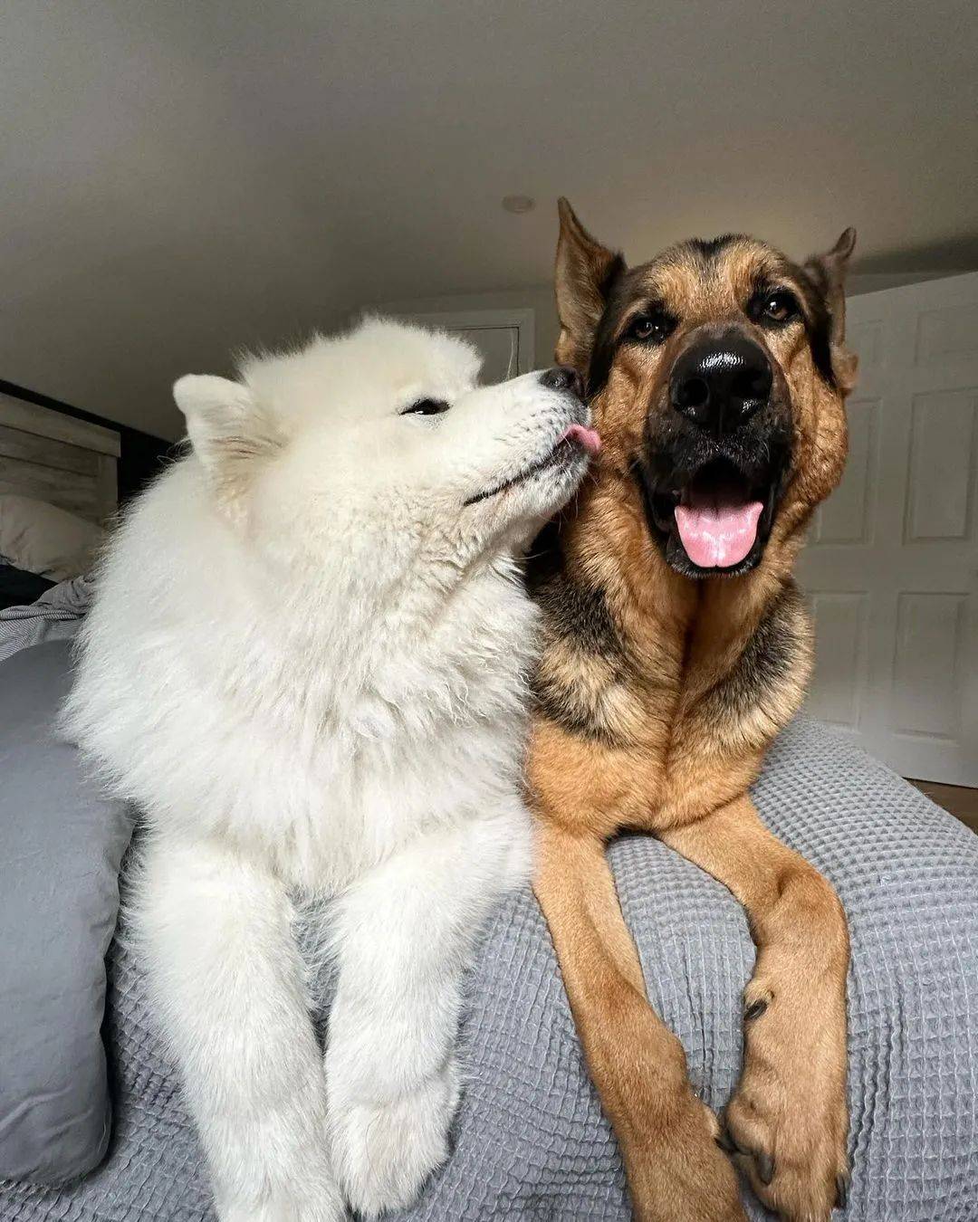 附上两个小可爱的合照.呜呜呜它真的好暖哦!