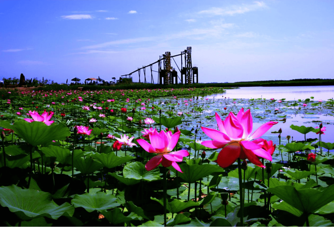 3条旅游路线带你体验不一样的银川!_宁夏_酒庄_景区
