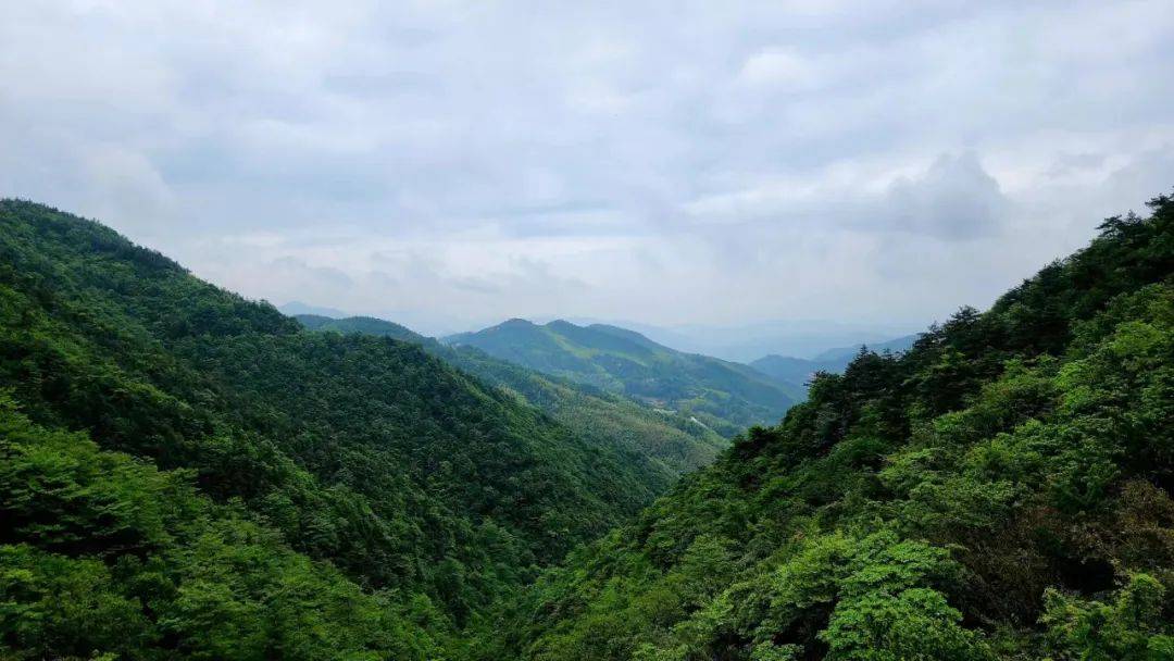 诗路天台┃《妙莲阁》 北宋61杨杰