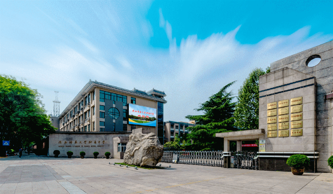 陕西师范大学附属中学2024年体育特长生招生简章