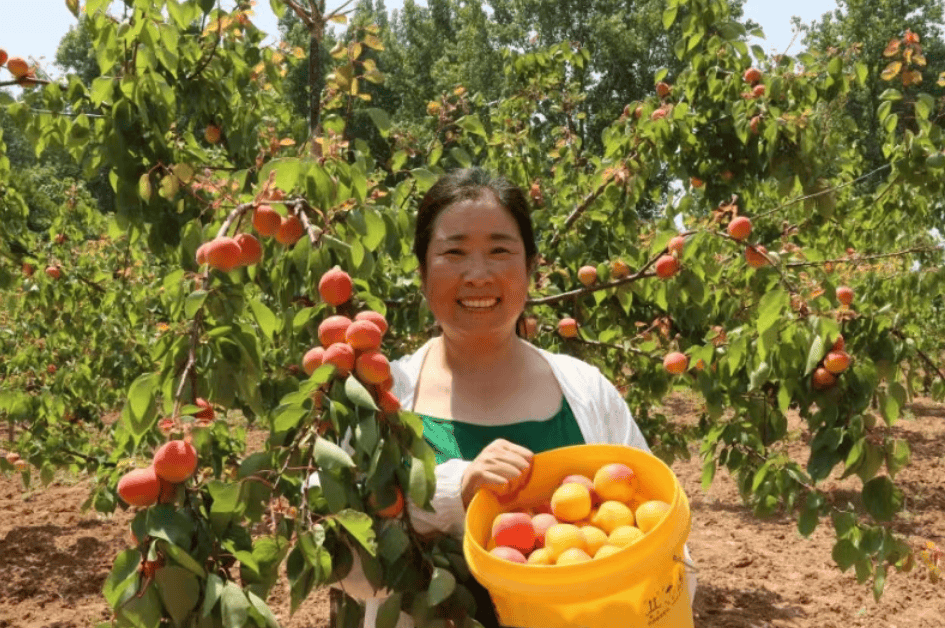 百度：澳门一码一肖一特一中准选今晚-新闻：版面速览｜5月20日贵州日报《生态》新闻版