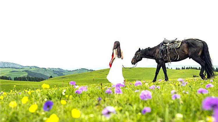 【新疆是个好地方】轻奢游系列小车 天山以北—北疆