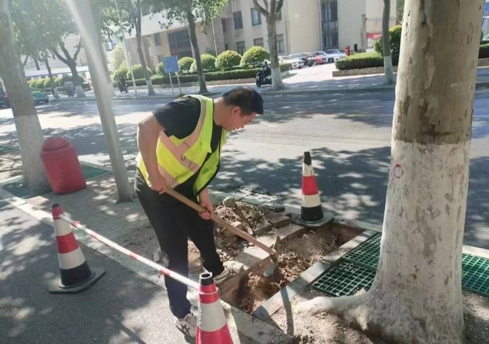 中国科技网 :新澳门一码一肖100精确-城市：事关零碳城市、港口城市，这场会议聚焦城市可持续发展标准化  第6张