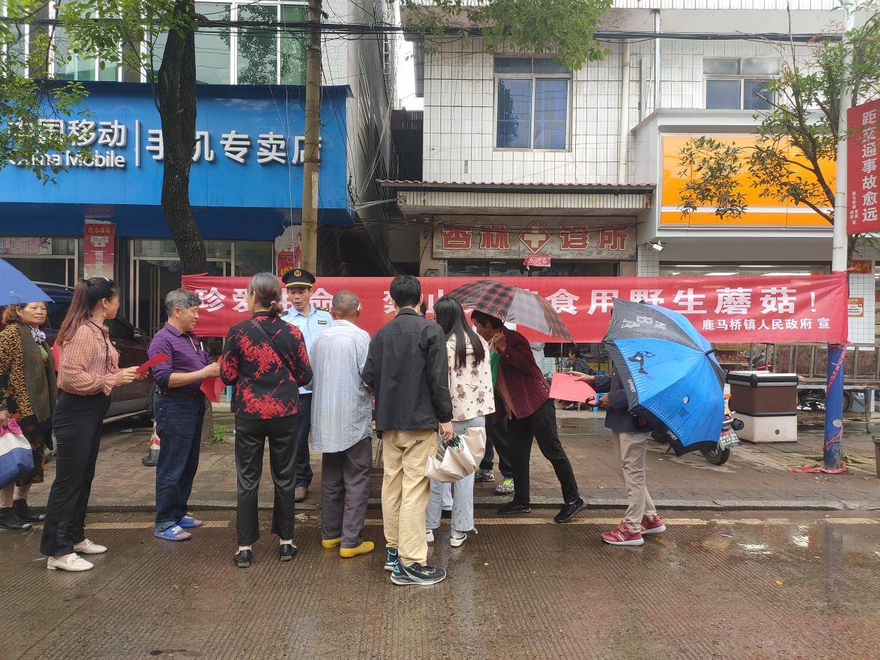 鹿马桥镇:开展"5.17"野生蘑菇宣传活动,为人民生命安全保驾护航