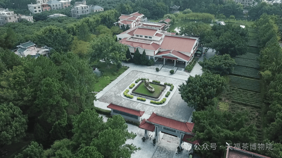 福建漳州天福茶学院图片