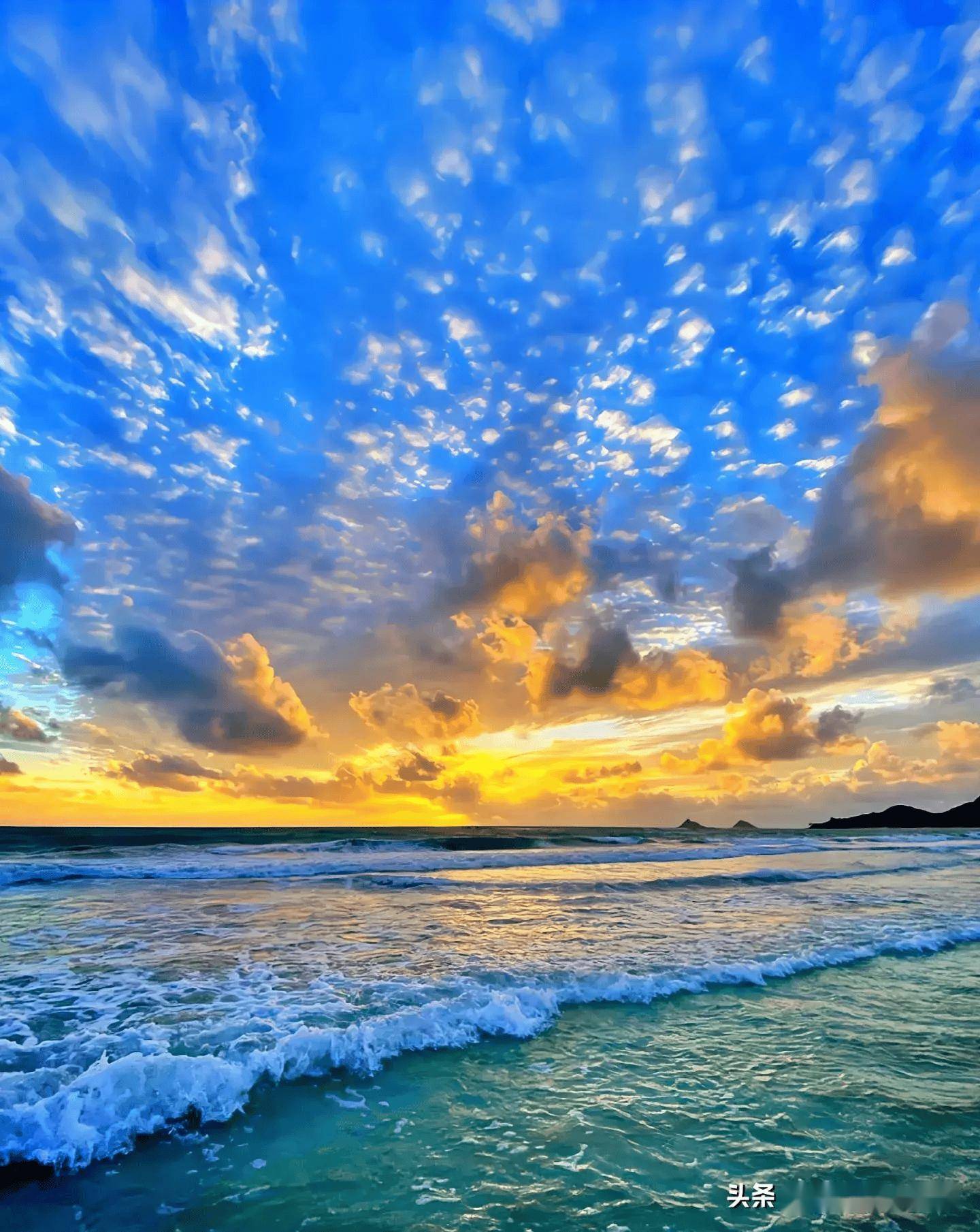 手机摄影,学这4个小功能,简单易学拍好片!