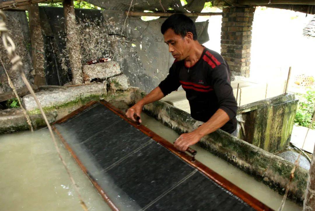 陈从忠 / 播州最后的古法造纸(散文)