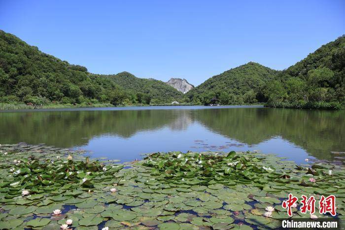 南海网:澳门一码中精准一码免费中特-城市：公安部：重点推广城市路口慢行一体化设计 优化非机动车交通组织  第6张