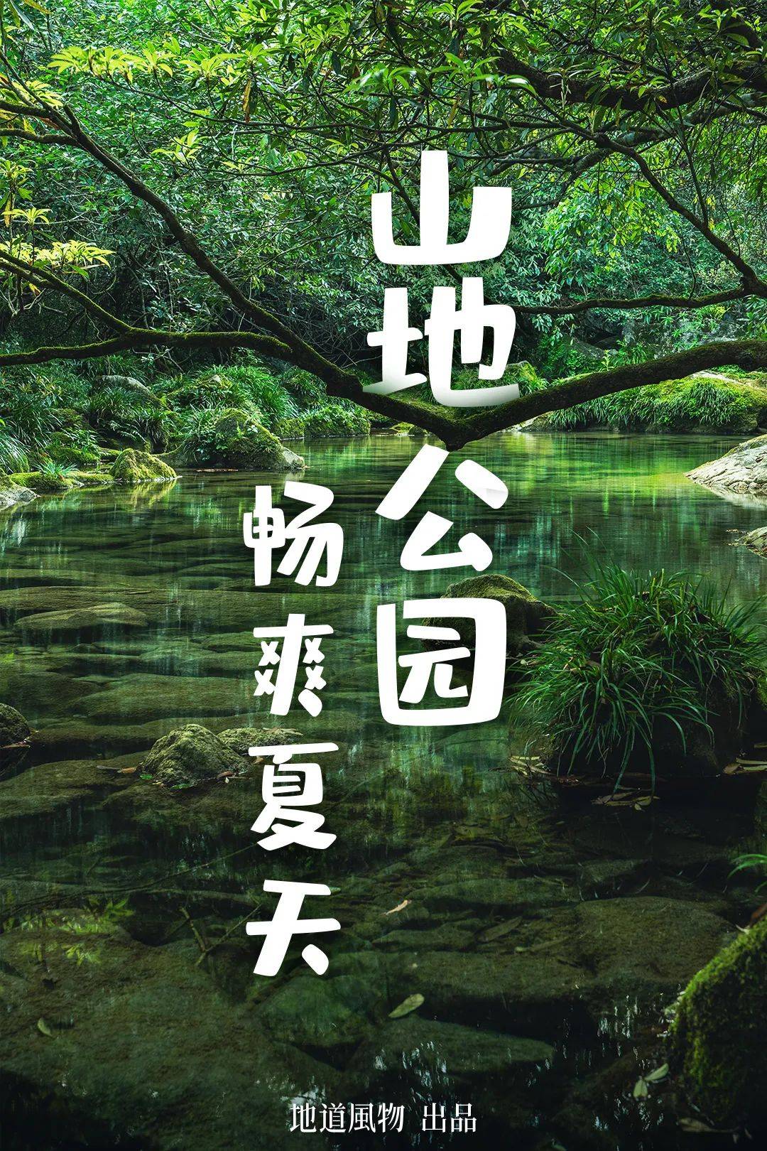 贵州_摄影_避暑