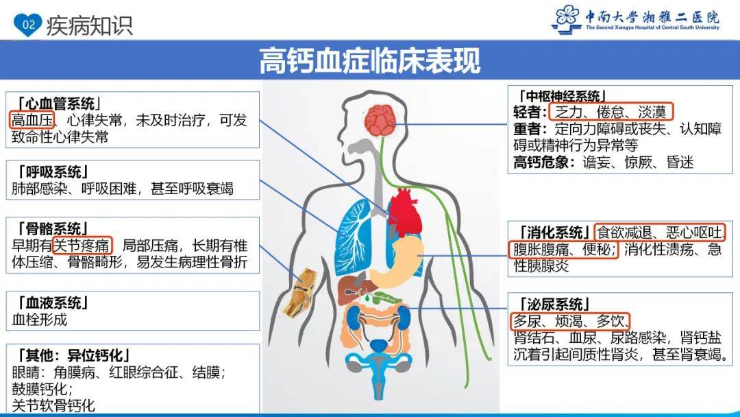【ppt】一例高钙危象患者的护理查房