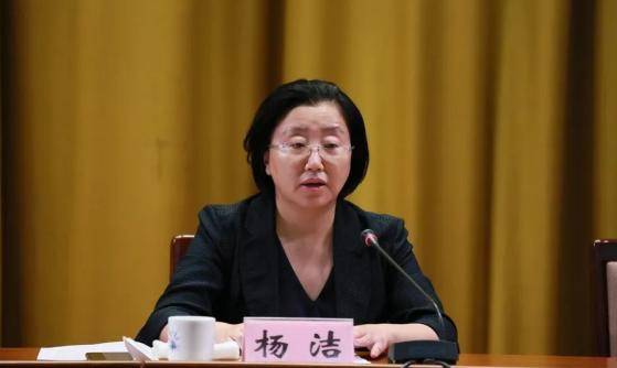 河北省唐山市人大常委会主任杨洁被查