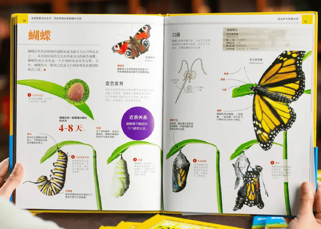 百科全书,是孩子认识世界的一扇门