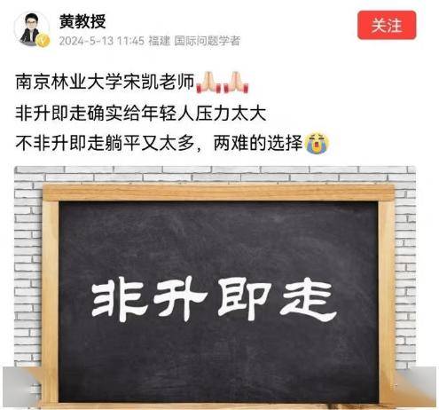 "非升即走",抑郁症:南京林业大学副教授之死,揭开"青椒"的残酷内幕
