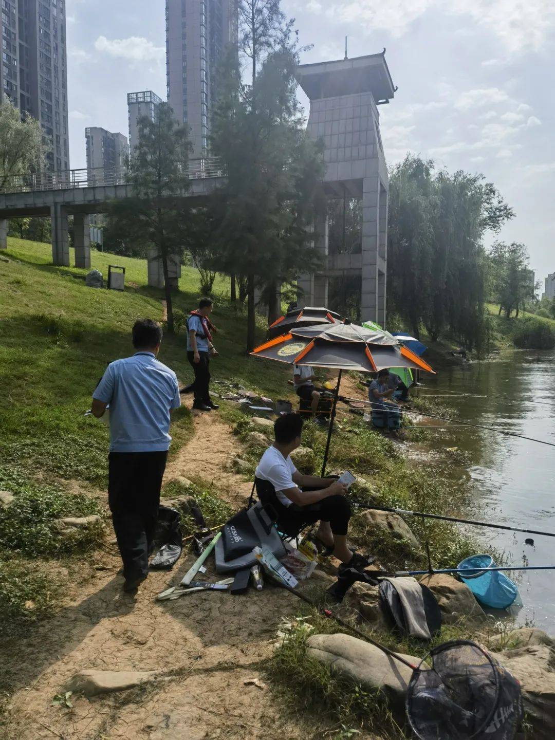 鱼跃湘江演绎十年禁渔的生态盛景