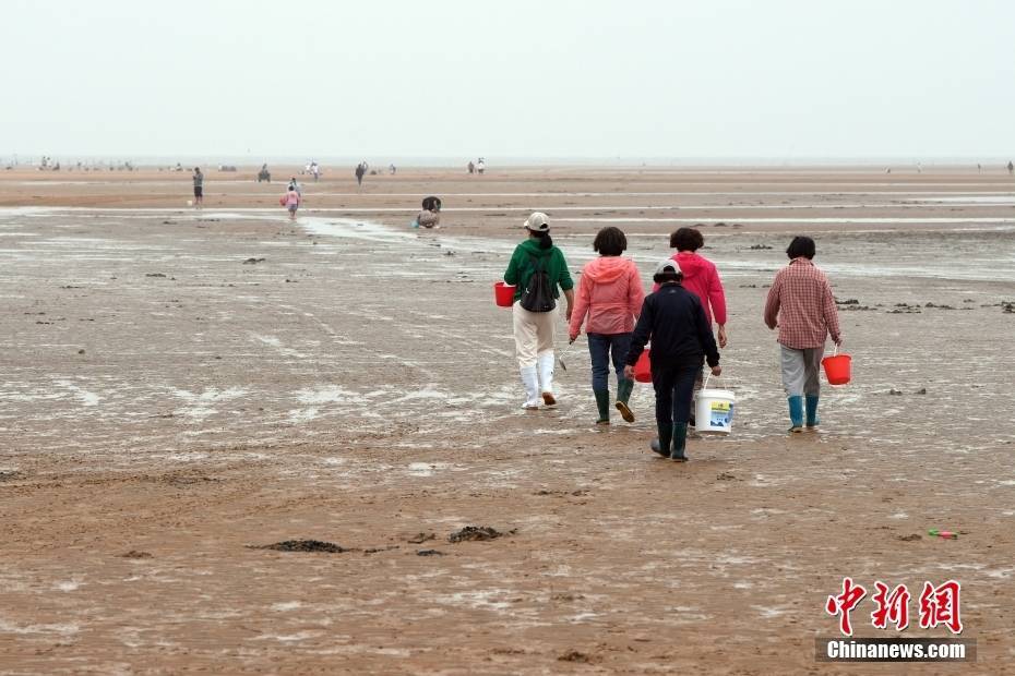 威海国际海水浴场赶海图片