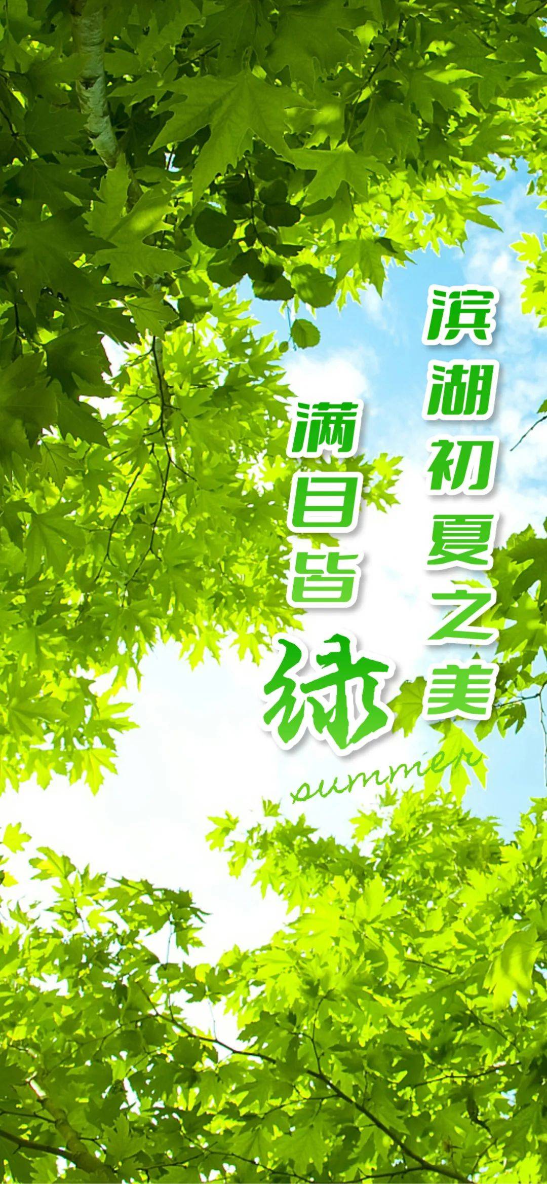 去不了"阿勒泰",来滨湖享受别样"绿意",同样惬意