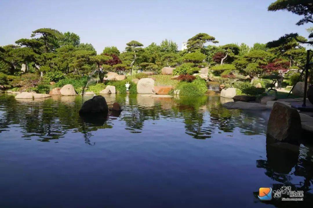 藏在闹市中的艺博园,古松苍翠挺拔,流水潺潺,叠瀑奔涌,青青翠竹盛着