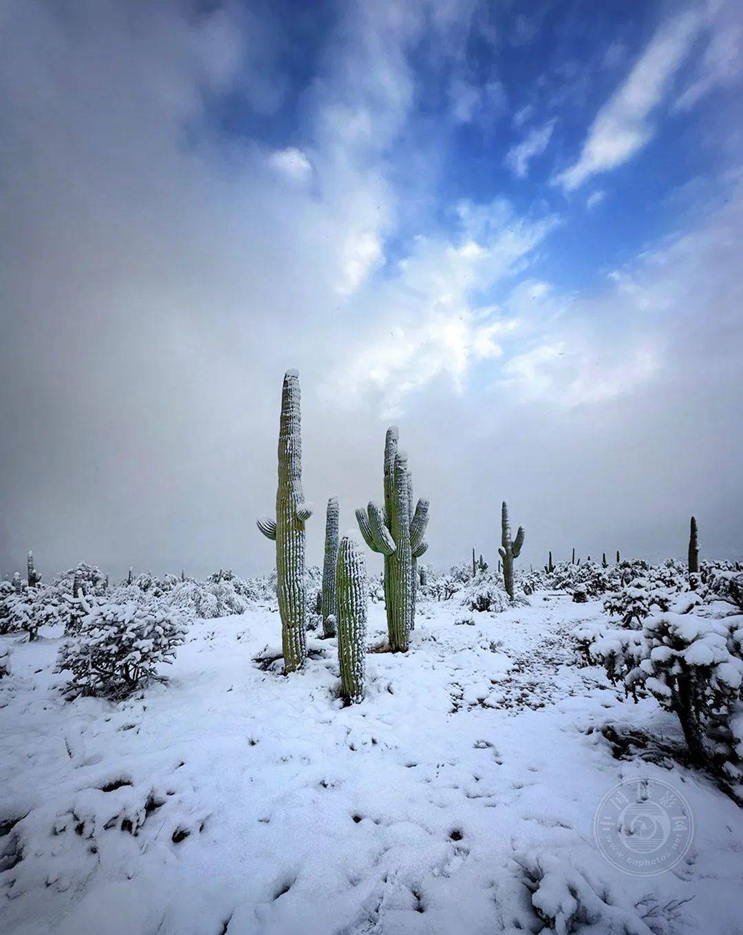 中国摄影师获最高奖,第13届手机摄影大赛(mpa)获奖名单公布(三)