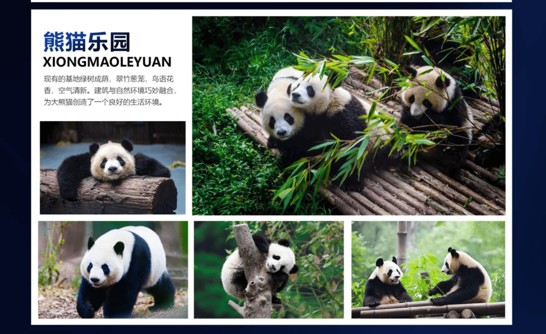 九寨沟黄龙成都双飞六日游