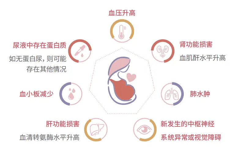 世界子痫前期日｜十问十答：小熊医院带准妈妈一起认识子痫前期_孕妇_监测_疾病