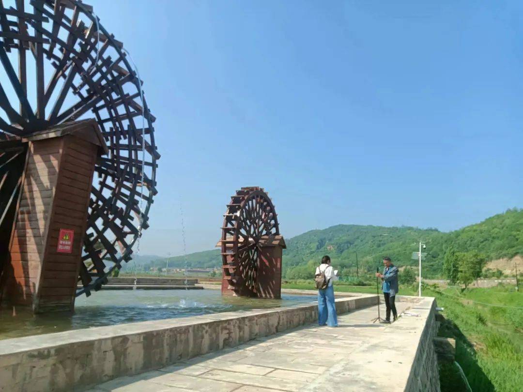 又是一年插秧节