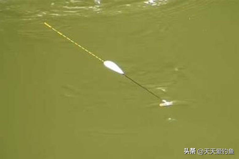 夏季无风不钓鱼,4个绝招巧钓大风天,风浪越大鱼越大