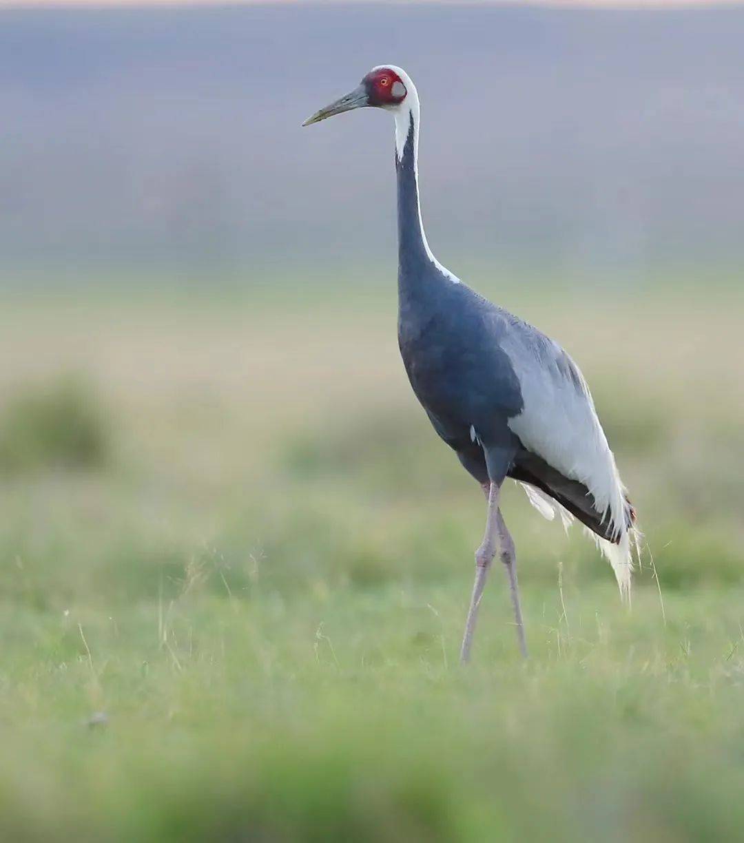 看看你认识多少?