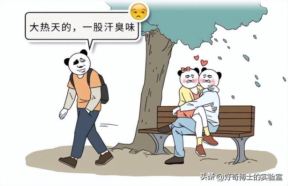 为啥情侣能闻到彼此身上的"体香",其他人闻就觉得臭?