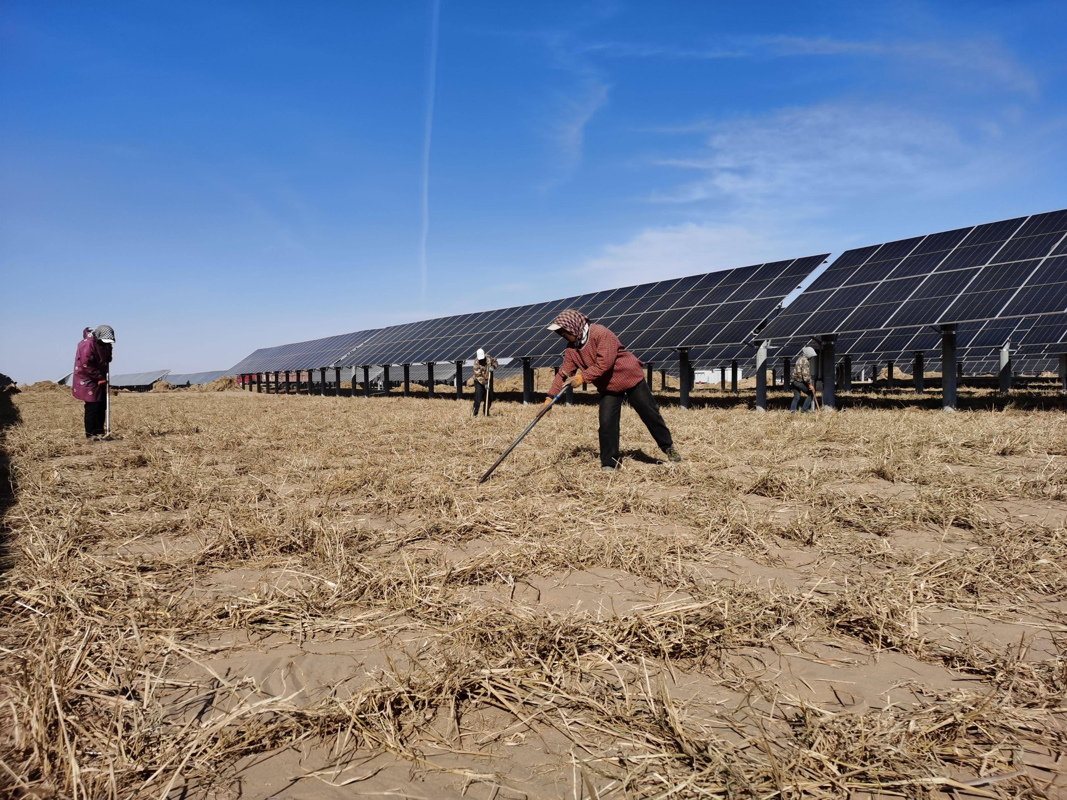 新华全媒头条丨鏖战沙海——内蒙古攻坚防沙治沙筑牢北疆万里绿色长城