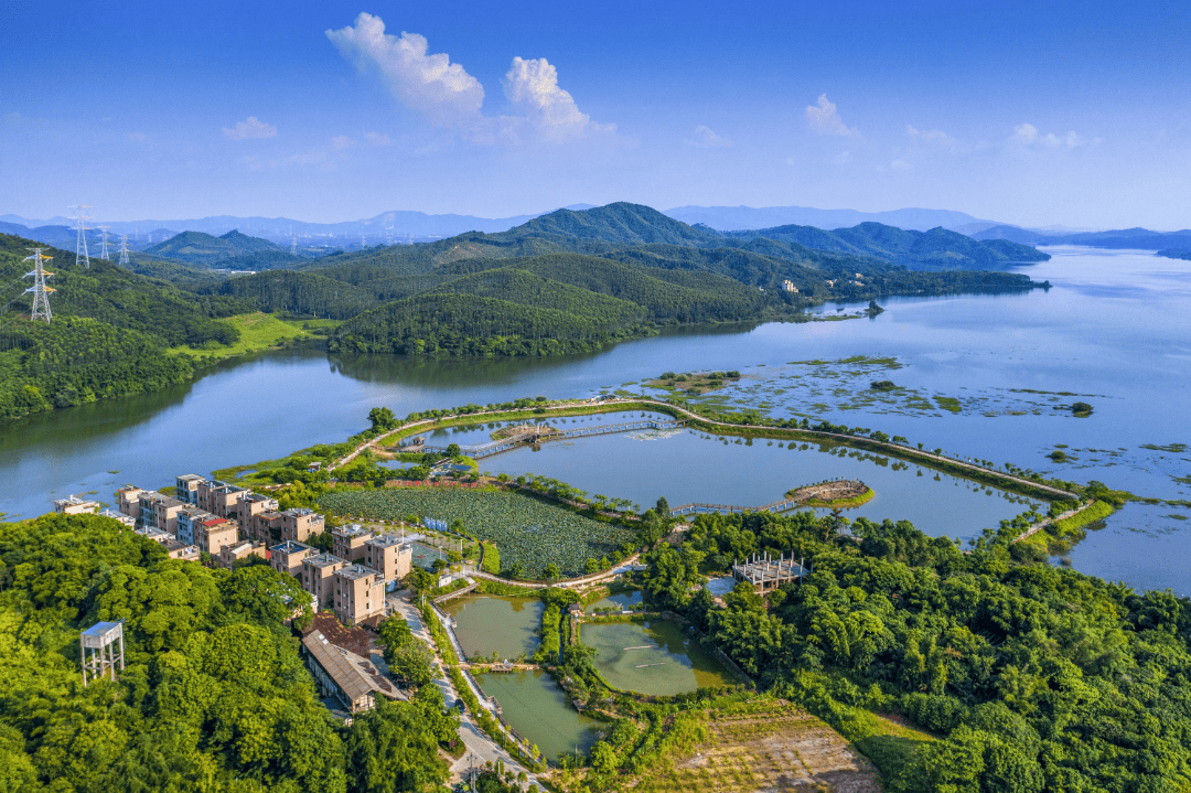 清水湖旅游度假区图片