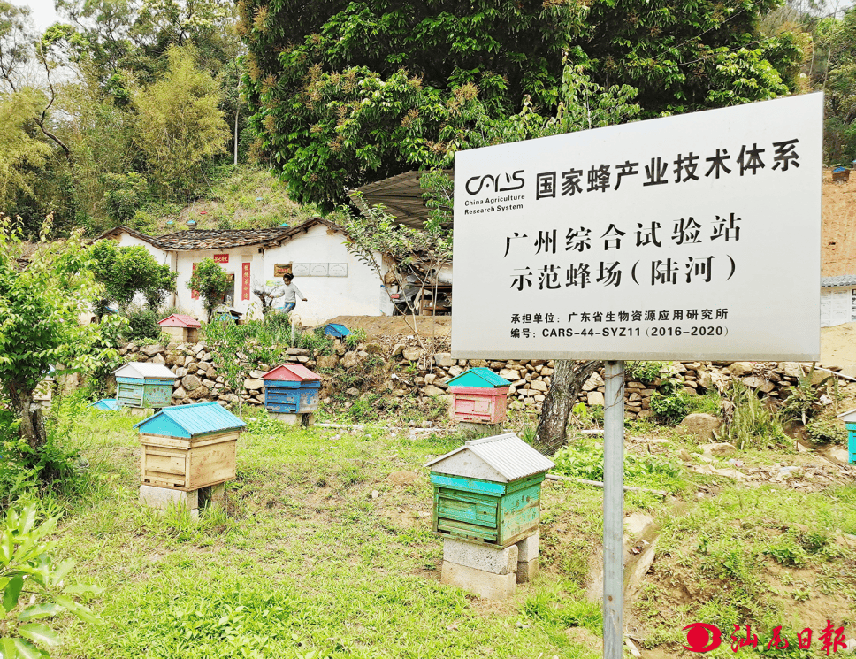 "点土成金"拓宽发展新渠道 ——陆河县新田镇"全域整治"赋能"百千万