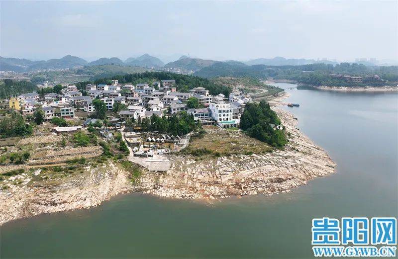 清镇市_杉树_产业