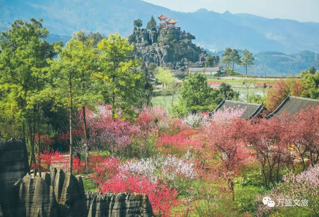 重庆虎溪桃花山图片