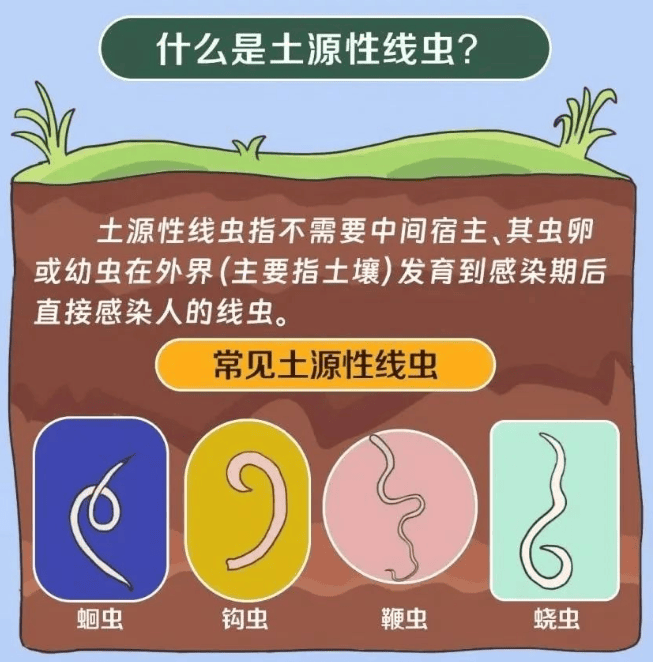 蛲虫 病人图片